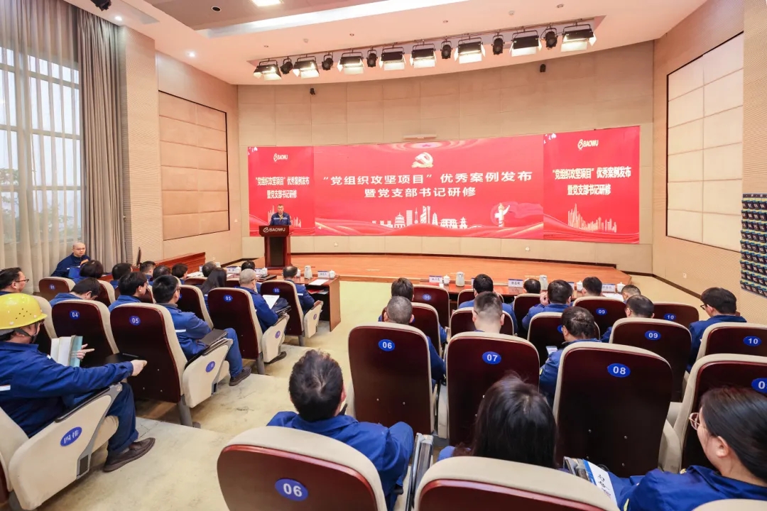 重庆钢铁开展“党组织攻坚项目”优秀案例发布暨党支部书记研修