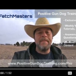 Positive Gun Dog Training Pro